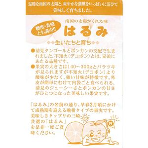 【先行予約】【数量限定】はるみ（生果5kg）※離島への配送不可（2026年1月下旬より順次発送予定） IKTBD009