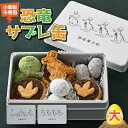 【ふるさと納税】 恐竜サブレ缶（大） [A-135006] / 恐竜 サブレ お菓子 クッキー 米粉 おかし 洋菓子 詰め合わせ デザート 人気 おすすめ 福井県 福井市