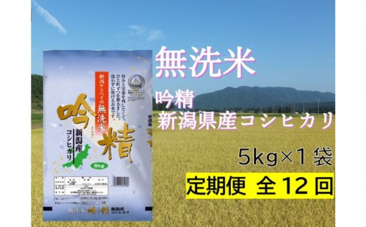 【定期便：全12回お届け】【無洗米吟精】新潟県産コシヒカリ5kg　無洗米 新潟県 新潟 こしひかり 5キロ 米 お米 コメ 新潟ケンベイ