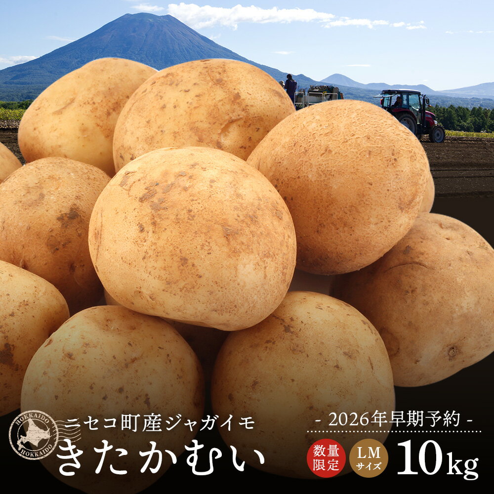 【ふるさと納税】【北海道ニセコ町産】ジャガイモ　きたかむい LMサイズ　10kg　＜数量限定・2026年早期予約・10月より出荷予定＞【02034】