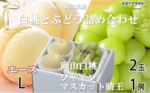 桃 ぶどう 2026年 岡山 白桃 エース 2玉×約200g（Lサイズ、早生種・中生種） シャイン マスカット 晴王 1房約400g 詰め合わせ 岡山県産 フルーツ