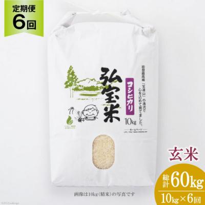 ふるさと納税 宝達志水町 米 定期便 6回 コシヒカリ「弘宝米」 玄米 10kg 計60kg [中西農場 38601287]