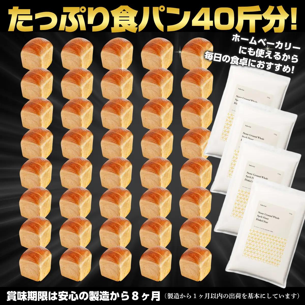 【毎月定期便】北海道産  小麦粉「春よ恋」「ゆめちから」ブレンド小麦粉 パウダースノー（パン用強力粉）10kg 全4回 MROBI048