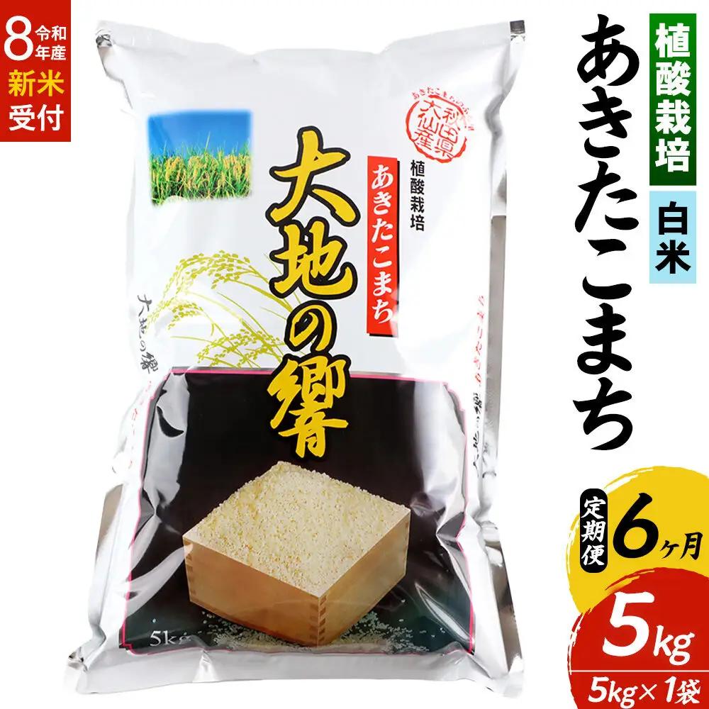 ＜令和8年産 新米受付＞《定期便6ヶ月》米 植酸栽培 あきたこまち「大地の響」5kg（5kg×1袋）【白米】精米 秋山商店