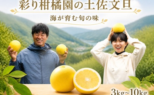 彩り柑橘園の土佐文旦家庭用3kg
