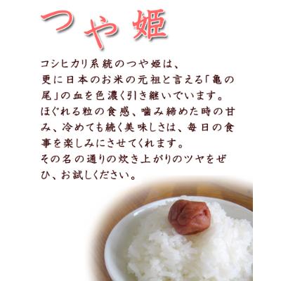 ふるさと納税 登米市 令和6年産　宮城県登米市産　食べ比べセット10kg(ササニシキ・つや姫 精米 各5kg) |  | 02