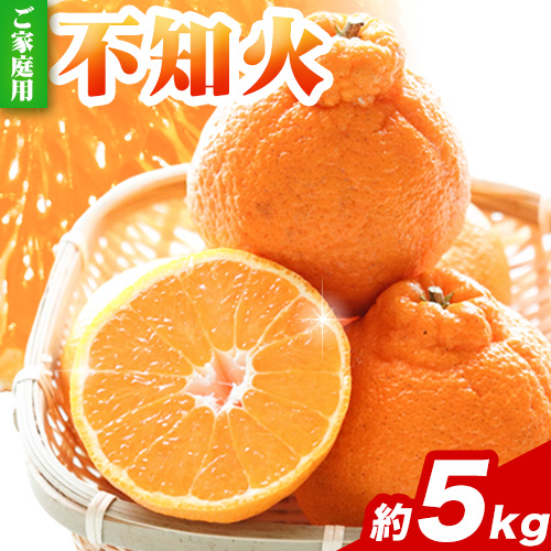 家庭用 不知火5kg+250g(傷み補償分)【デコポンと同品種・人気の春みかん】【光センサー食頃出荷】【訳あり】 池田鹿蔵農園@日高町（池田農園株式会社）《2月上旬-3月末頃出荷》和歌山県 日高町【配送不可地域あり】