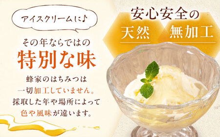 蜂家厳選！はちみつ とち蜜 500g（チューブ）×2本　《喜茂別町》【Beemonte】はちみつ 蜂蜜 ハチミツ 国産はちみつ ハニー[AJAS031]
