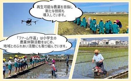 【3ヶ月定期便】【射水市】【射水の美味しいお米】ファームつくりみちのお米 作道米 R7年度産こしひかり20kg（5kg×4）【精米】※離島への配送不可