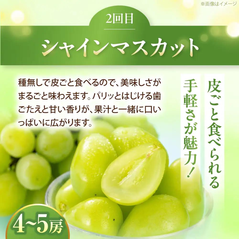 【先行予約】【3回定期便】梨・ぶどう・柿 旬のフルーツ定期便 BKAY030 フルーツ