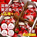 【ふるさと納税】完熟 いちご 贅沢食べ比べ 4品種セット（1箱） とちおとめ ふくはる香 紅ほっぺ おいCベリー イチゴ 苺 いちご F20C-533