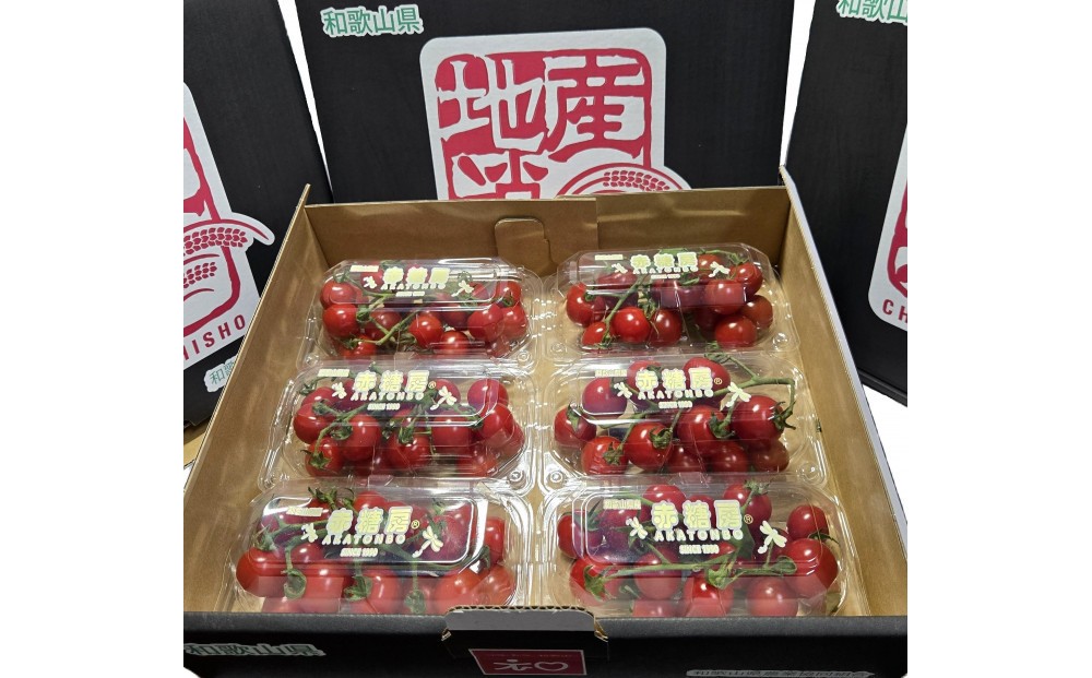 
                  【先行予約】赤糖房（ミニトマト）【160ｇ×6パック】
                