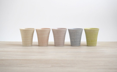 【波佐見焼】カップ sazanami　コップ　5色セット【和山】[WB183]