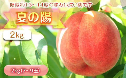 
            福島県産 伊達市で開発 夏の陽 2kg 2025年8月上旬～2025年8月中旬発送 2025年出荷分 先行予約 予約 中玉 柔らかめ 伊達の桃 桃 もも モモ 果物 くだもの フルーツ 国産 食品 F20C-454
          