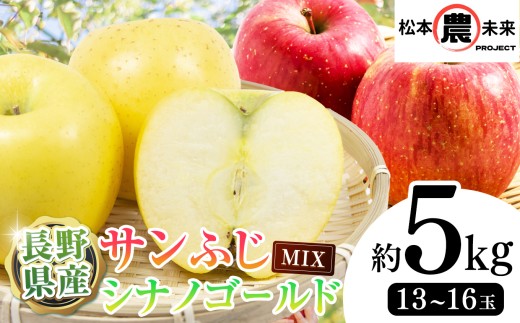 【先行受付】〔松本農未来project〕 信州松本産 サンふじ、シナノゴールド MIX 約5kg(13～16玉)│信州松本 サンふじ りんご シナノゴールド 詰め合わせ フルーツ果物 長野県 松本市 甘い