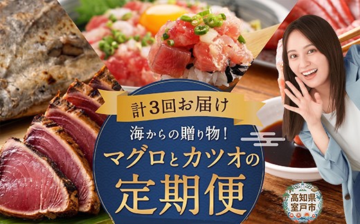 
                  定期便 3回 海からの贈り物 ｜ マグロ カツオ 定期便 海鮮 鮪 鰹 セット カツオのたたき ネギトロ 中トロ 刺身 冷凍 魚 海産物 魚介類 まぐろたたき 藁焼き わら焼き 訳あり わけあり ふるさと納税 定期便 美味しい 惣菜 タカシン定期便 まぐろ定期便 かつお定期便 定期便海鮮 人気定期便 魚介定期便 ランキング お楽しみ 海鮮定期便 3ヶ月 定期便 バラエティ 頒布会 高知県 室戸市
                