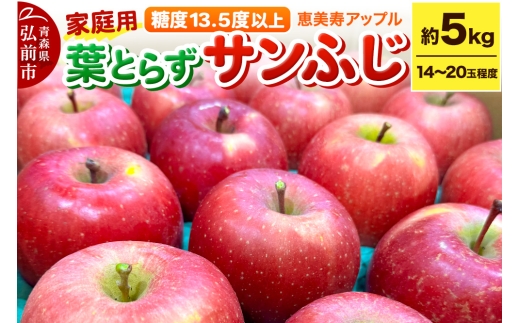 【25年12月～発送】りんご 【糖度13.5度以上】サンふじ 約5kg 葉とらず 青森県 フルーツ 果物