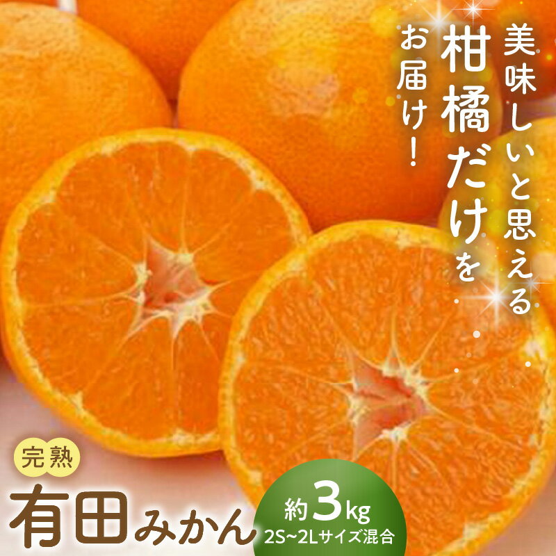 【ふるさと納税】【2026年先行予約】 完熟有田みかん 箱込み 約 3kg サイズ混合