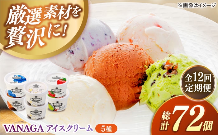 
            アイスクリーム【全12回定期便】ご褒美アイスにぴったり！VANAGA 5種類のアイスクリーム6個入 アイスクリーム アイス 12回 12ヶ月 1年 毎月 6個 6個入り 5種 5種類 詰め合わせ セット 食べ比べ デザート スイーツ おやつ ごほうび 木次乳業 バニラ ストロベリー 抹茶あずき ビターチョコ ブルーベリー 島根 雲南 島根県雲南市/木次乳業有限会社 [AIBH028]
          