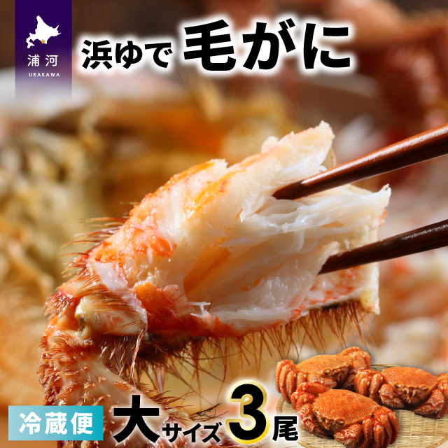 【今が旬！】漁協の浜ゆで毛がに 大サイズ３尾※日付指定対応不可※[02-1416]
