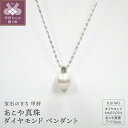 【ふるさと納税】 ペンダント ネックレス ジュエリー レディース アクセサリー ダイヤモンド 0.05ct あこや真珠 K18 ホワイトゴールド シンプル ジュエリーケース付 鑑別書付 保証書付 k072-025