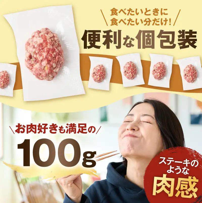 牛タン入り 生ハンバーグ 10個 【10月発送】 ハンバーグ