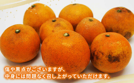 みかん 訳あり 愛果28号 5kg マル南フルーツ 【 訳あり 愛果 】 B015-106027