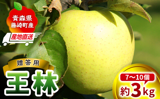＜産地直送＞ 王林 贈答用 約3kg（7～10個）りんご リンゴ 林檎 果物 フルーツ  F41-0076