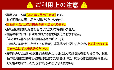 【あとから選べる】桂川町ふるさとギフト 30万円分[ADBV009]