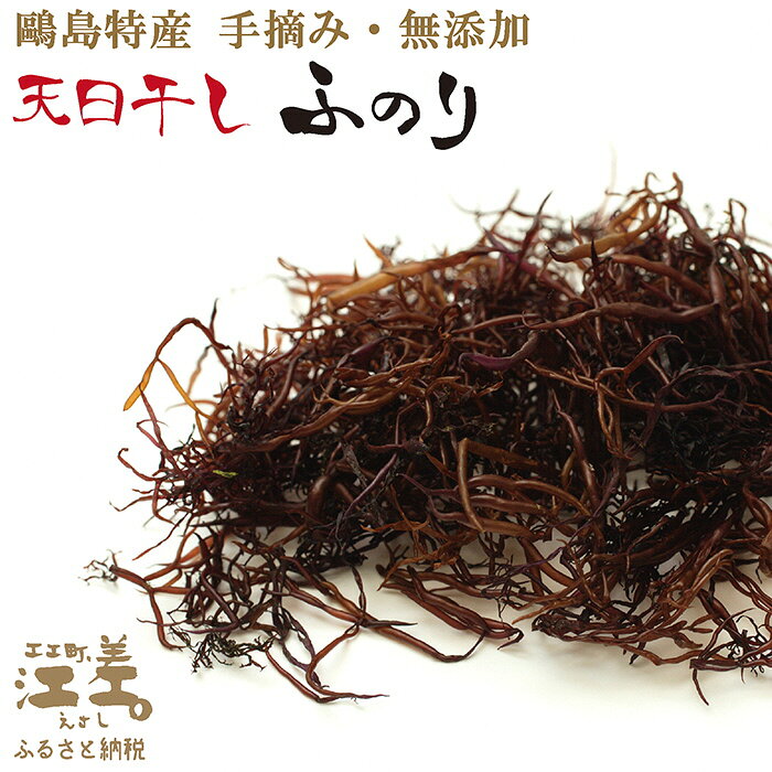 【ふるさと納税】《数量限定》かもめ島特産 手摘み 天日干し「天然ふのり」40g（20g×2袋）　無添加　日本海　ミネラル　天然物　海藻