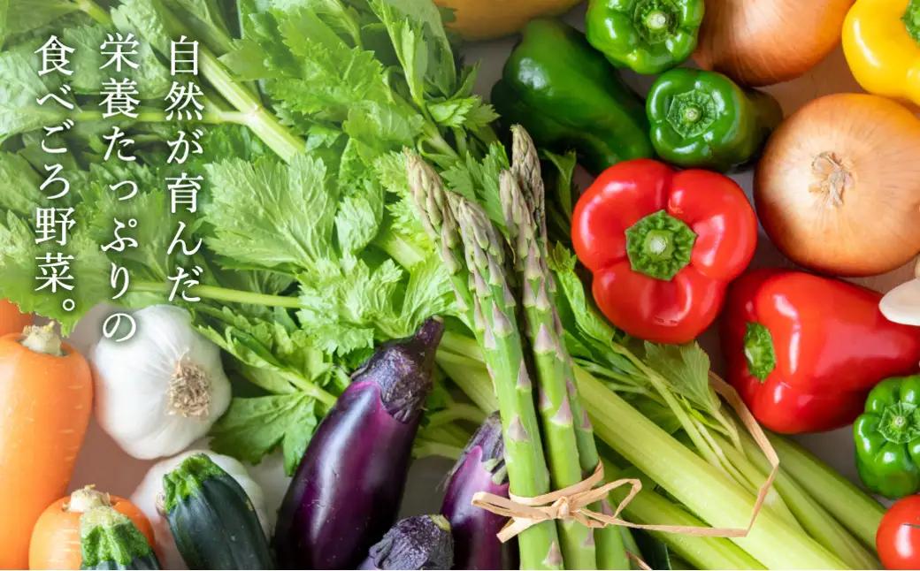 神鍋高原 季節の新鮮野菜 詰め合わせ 5～10品