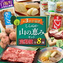 【ふるさと納税】しらぬか山の恵みセット'23-'24【年3回定期便】　頒布会 魚 鮭