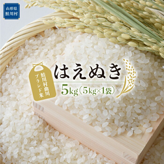 【ふるさと納税】鮭川村曲川ブランド米　はえぬき［白米］5kg