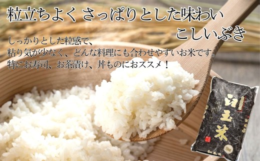 【令和8年産新米】新潟県産こしいぶき『臼玉米』5kg×10回 合計50kg 2026年産 木島米穀店【新潟県 糸魚川市 米 お米 白米 こめ コメ コシイブキ ご飯 ライス ふるさと納税米 お弁当 お
