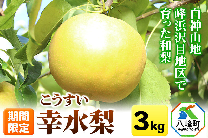 梨 幸水 3kg【期間限定】 白神山地峰浜沢目地区で育った和梨 秋田県八峰町産 おらほの館 先行受付 [先行予約 和梨 幸水 梨 ナシ なし 3kg 秋田県産 期間限定 白神山地 峰浜沢目地区 甘い 