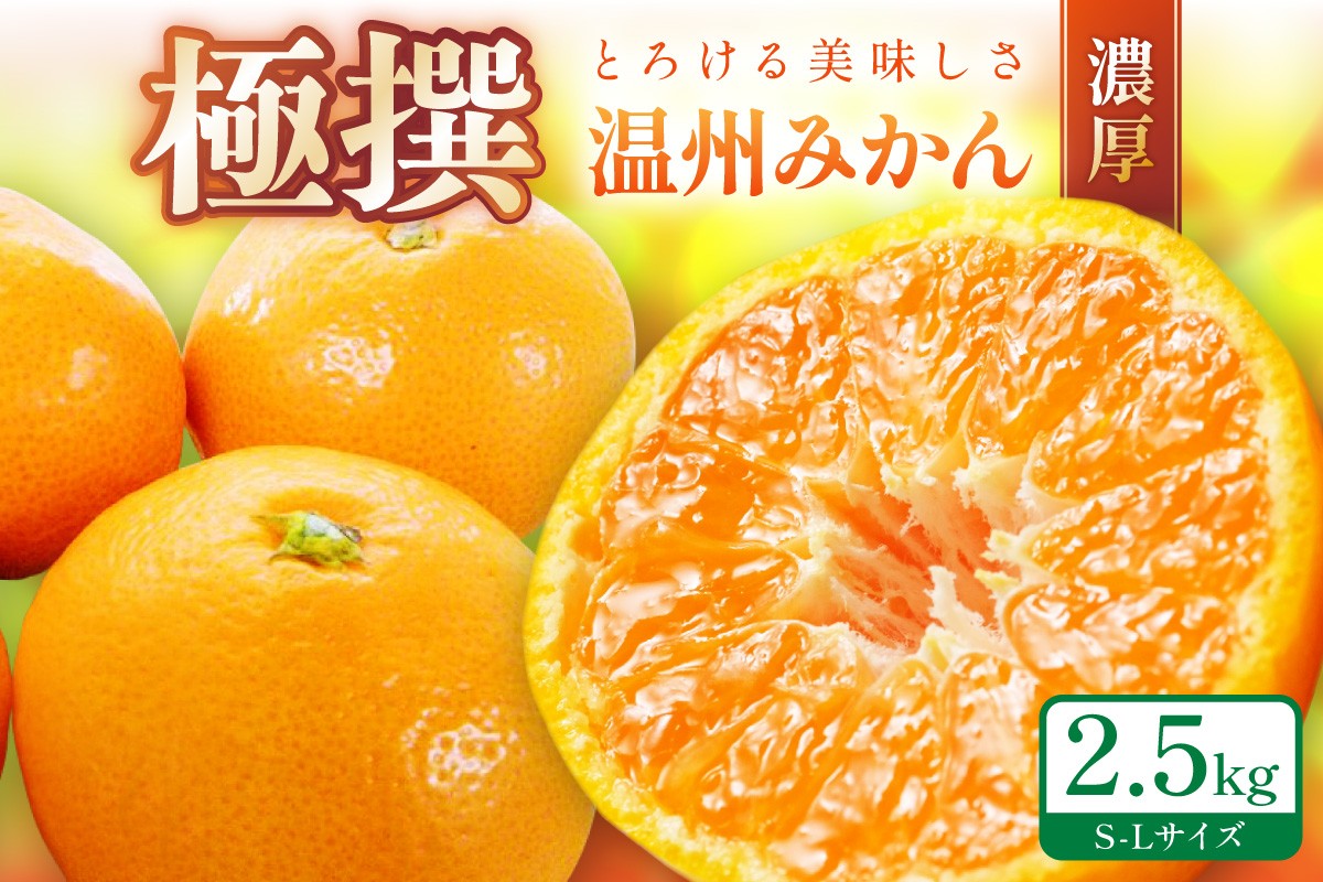 
                  「濃厚な味のとろける美味しさ」温州みかん 2.5kg 《先行予約》ミカン  サイズ混合 Ｓ～Ｌサイズ 甘い 果物 フルーツ 濃厚 産地直送 期間限定 デザート 贈り物  贈答
                
