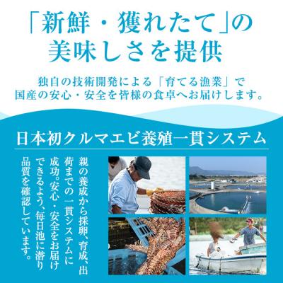 ふるさと納税 霧島市 ＜数量限定＞冷凍車えび 約1kg Sサイズ(60〜69尾・加熱用)【MBC開発】B-136-B |  | 01