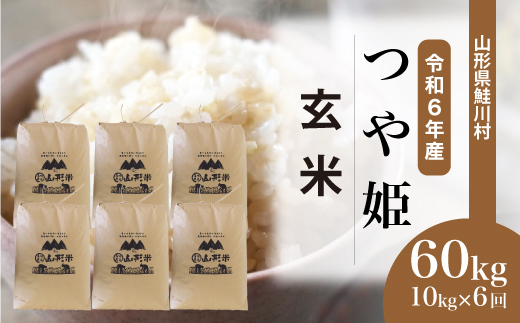 ＜令和6年産米＞ 令和6年12月中旬より配送開始 特別栽培米 つや姫【玄米】60kg定期便(10kg×6回)　鮭川村