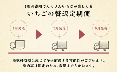 【定期便3回】いちご贅沢 紅ほっぺ 1kg ( 250g × 4p ) しあわせ苺 サイズ バラバラ 訳あり 訳アリ 含む 農園直送 フルーツ 苺 イチゴ 人気 本巣市 果物 先行予約 family農