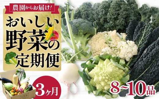 西洋野菜 一般野菜 旬野菜セット 8～10品 定期便 3ヶ月 | 減農薬 野菜ソムリエ 旬野菜 イタリア野菜 珍しい 食べ比べ 生野菜 サラダ 野菜セット 詰め合わせ  ギフト レシピ 贈り物 国産 朝採れ 新鮮野菜 季節の野菜 産直 食品ギフト 手土産 良農園 群馬県 前橋市