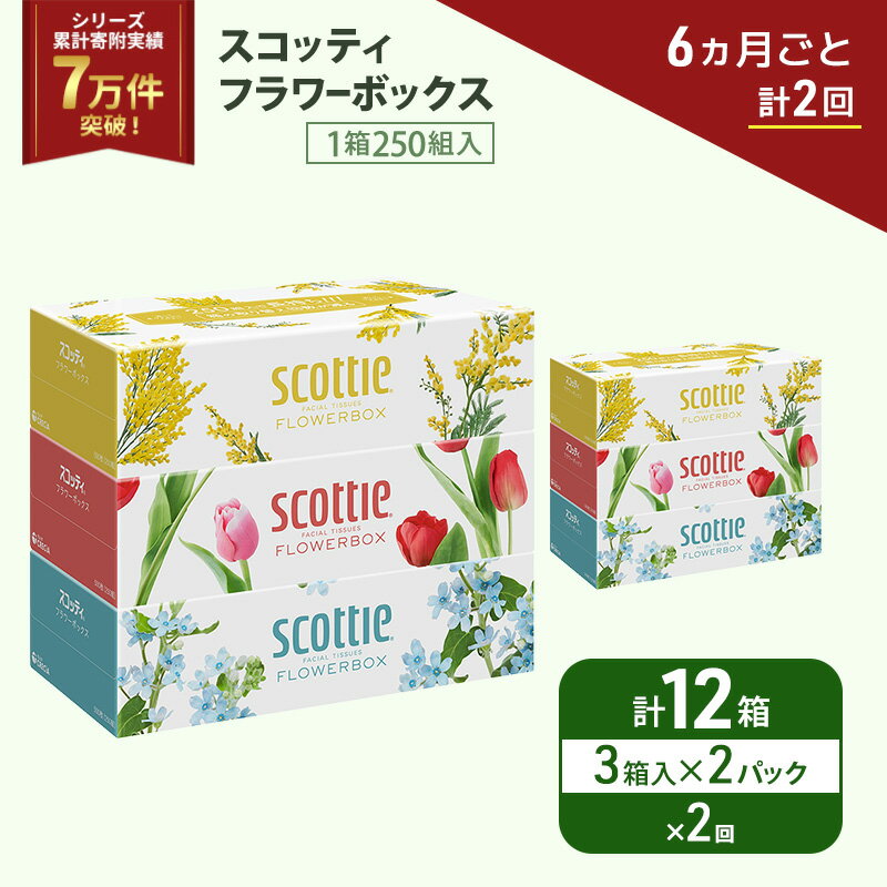 【ふるさと納税】 定期便 ティッシュ 3箱×2P (6ヶ月ごと計2回) スコッティ フラワーボックス 日本製 長持ち 日用品 生活用品 必需品 消耗品 便利 楽 コンパクト 防災 備蓄 備え 安心 送料無料 累計寄附実績7万9千件超 宮城県 岩沼市