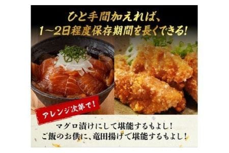 漁協直送！キハダマグロブロック（生）1kg 【 鮪 刺身 マグロ 漬け 新鮮 冷蔵 海の幸 】