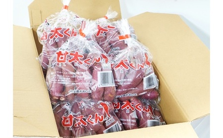 【先行予約】めっちゃ甘い！高糖度かんしょ「甘太くん」 （500g×6袋）計3kg　さつまいも　紅はるか