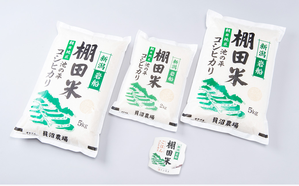 【新米受付・令和7年産米】【定期便：6ヶ月連続でお届け】新潟県村上市岩船産 棚田米コシヒカリ 12kg+パックごはん(150g×1個) ×6ヶ月 1067121N