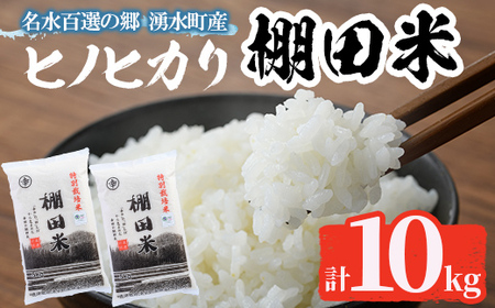 C09 鹿児島県産ひのひかり 棚田米10kgセット(5kg×2袋) 国産 九州産 鹿児島県産 湧水町産 10kg お米 おこめ 米 白米 ご飯 ごはん おにぎり ひのひかり ヒノヒカリ 新米 令和6年産 【くりの物産館】