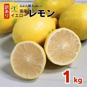 訳あり レモン（イエローレモン） 1kg りのか 減農薬 レモン イエローレモン 農家直送 こだわり らんきんぐ 柑橘 かんきつ 檸檬 果物 くだもの 果実 国産 フルーツ 有名 愛媛  ブランド 愛媛県産 瀬戸内 ビタミン 美味しい 生産者 直送 産直 無添加 レモンサワー ジュース チューハイ 愛媛県 愛南町 みかん職人武田屋 発送期間 11月中旬～4月