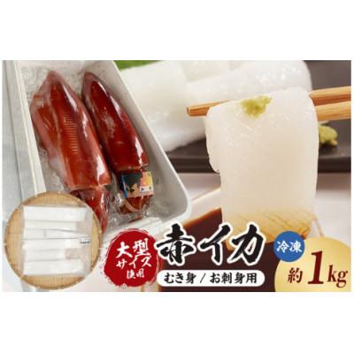 ふるさと納税 香美町 大型サイズ使用 超肉厚な赤イカむき身(お刺身用)約1kg入(冷凍)