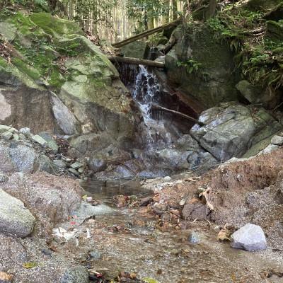 ふるさと納税 嘉麻市 極源流米　5kg |  | 01