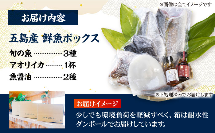 金澤仕立て 鮮魚ボックス（旬の魚3種・アオリイカ・魚醤油2種）五島市/金沢鮮魚 [PEP003]