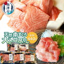 【ふるさと納税】 まぐろ 天然 南まぐろ 刺身 大トロ スライス すき身 トロびんちょうまぐろ バチまぐろ a21-062